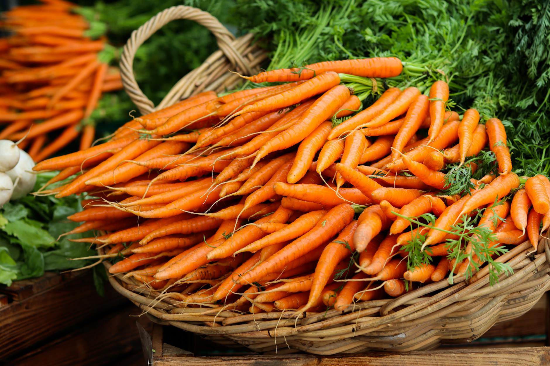 Eco-Friendly Shopping: A Sustainable Guide to Ethical Consumerism