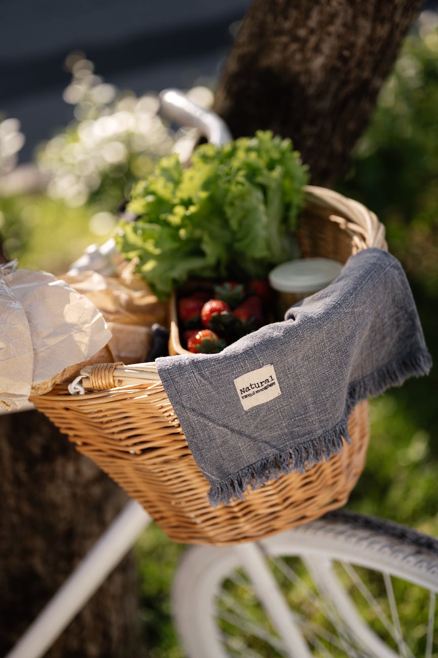 The Rise of Eco-Friendly Shopping: A Guide to Sustainable Fashion Brands
